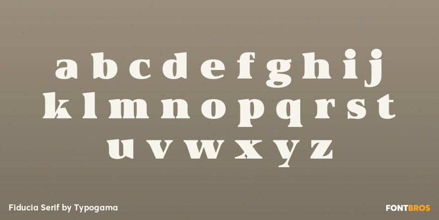 Fiducia Serif Font Poster #3