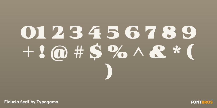 Fiducia Serif Font Poster #4