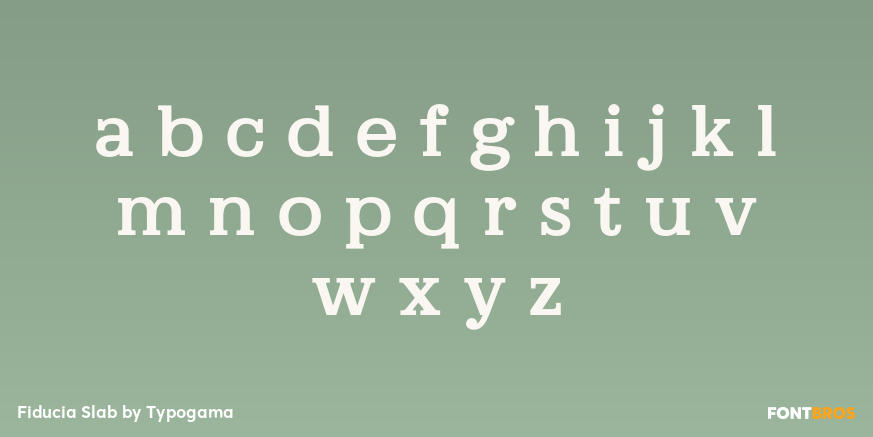 Fiducia Slab Font Poster #3