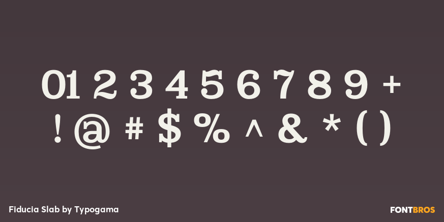 Fiducia Slab Font Poster #4