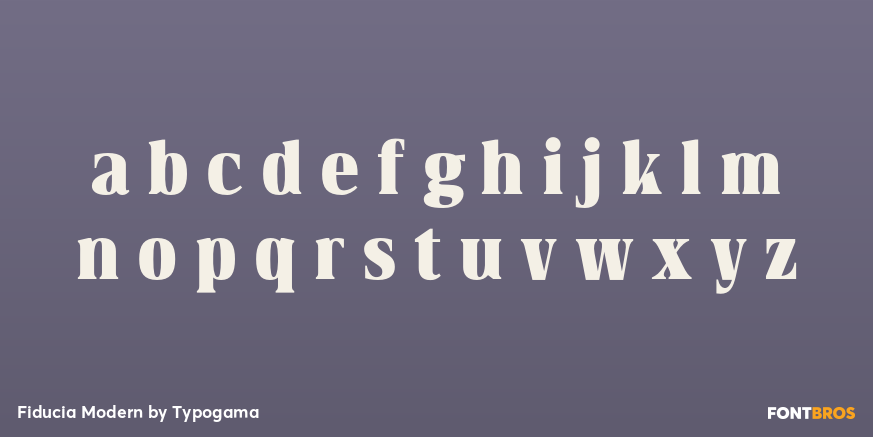 Fiducia Modern Font Poster #3