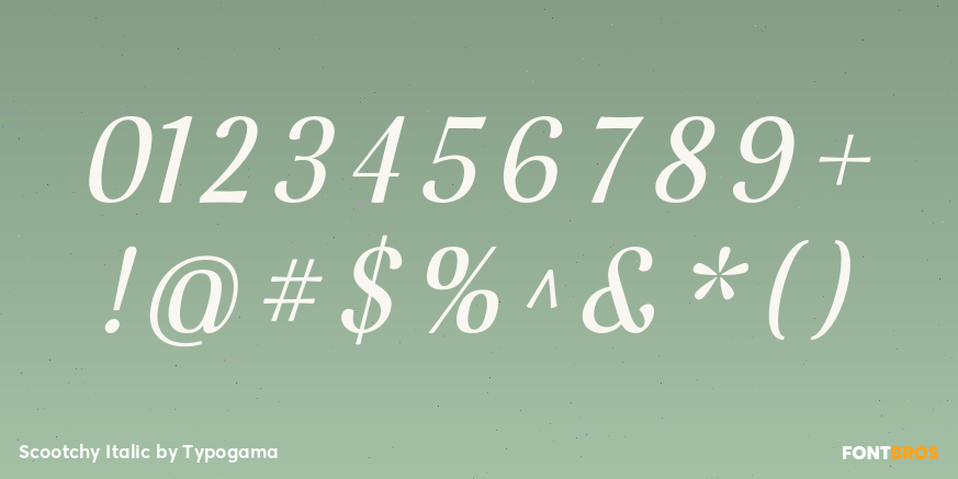 Scootchy Italic Font Poster #4