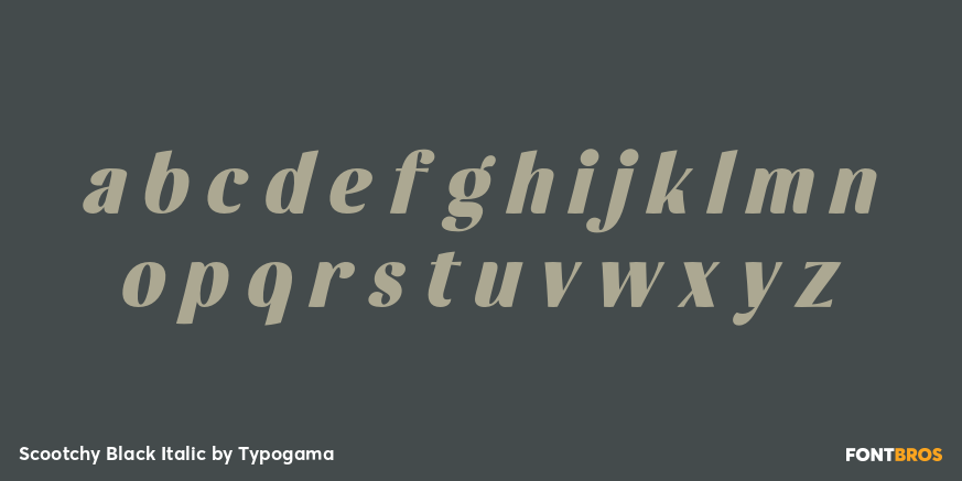 Scootchy Black Italic Font Poster #3