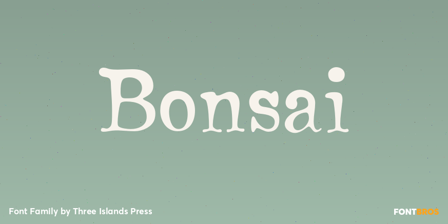 Bonsai Poster