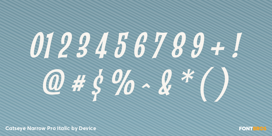 Catseye Narrow Pro Italic Font Poster #4