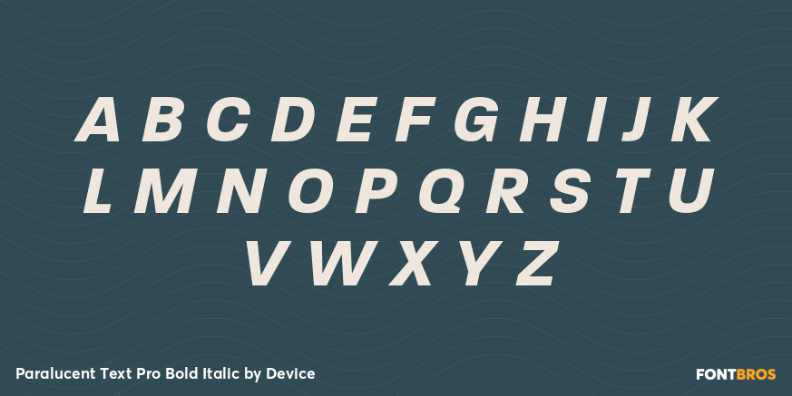 Paralucent Text Pro Bold Italic Font Poster #2