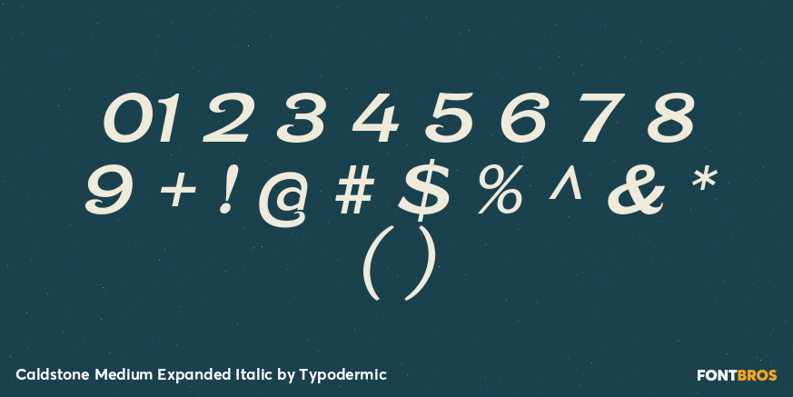 Caldstone Medium Expanded Italic Font Poster #4