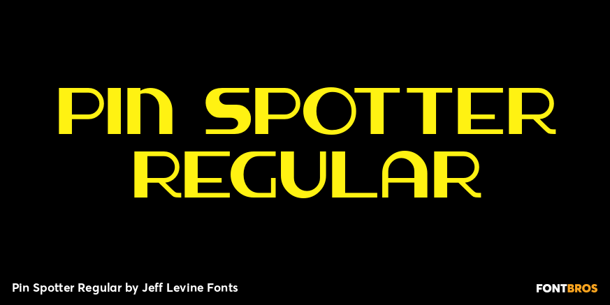 Pin Spotter Regular Poster