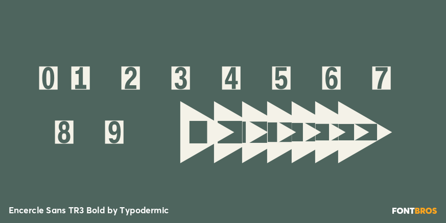 Encercle Sans TR3 Bold Font Poster #1