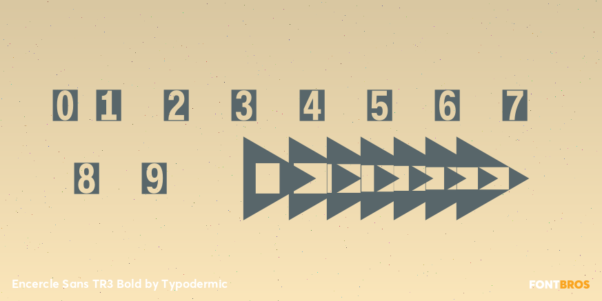 Encercle Sans TR3 Bold Font Poster #4