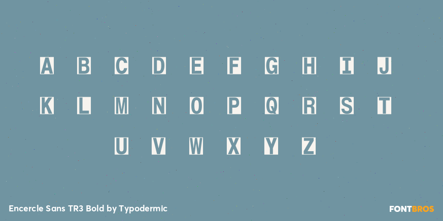 Encercle Sans TR3 Bold Font Poster #1