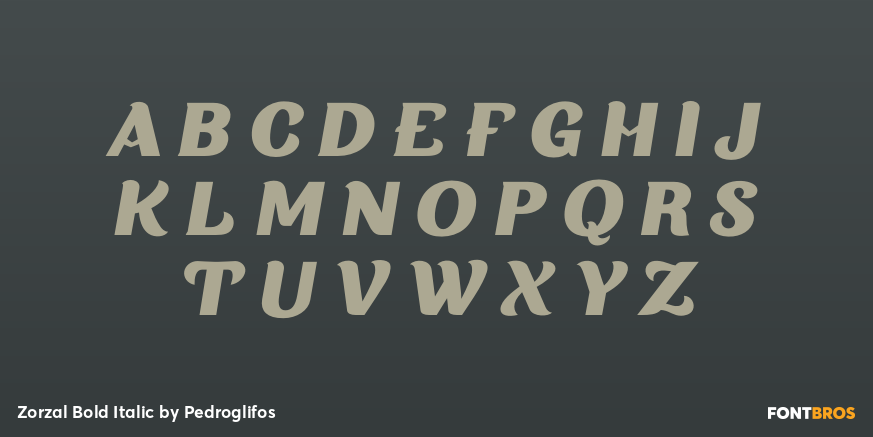 Zorzal Bold Italic Font Poster #2