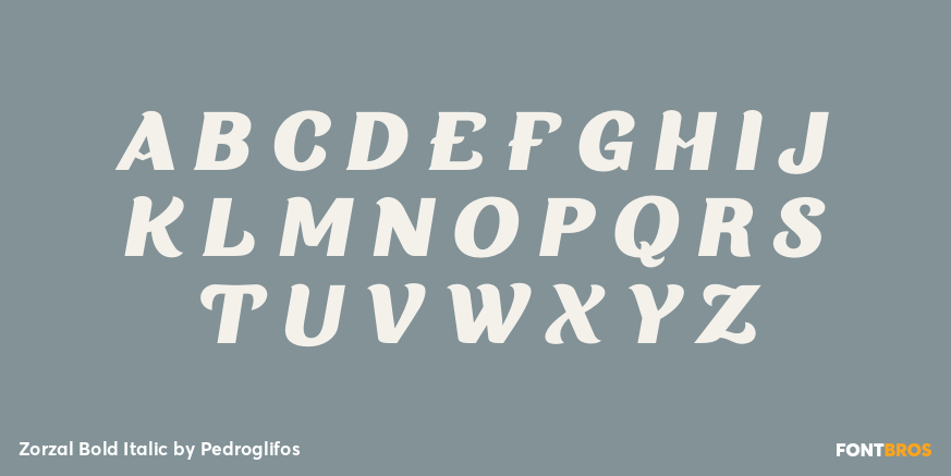 Zorzal Bold Italic Font Poster #1