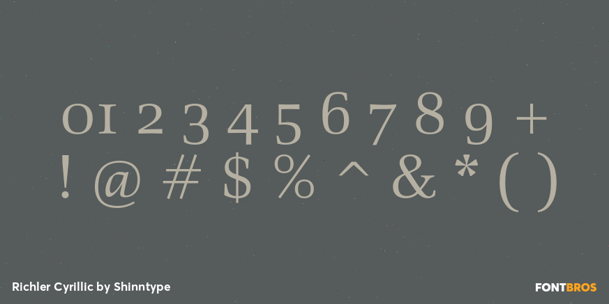 Richler Cyrillic Font Poster #4