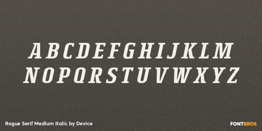 Rogue Serif Medium Italic Font Poster #2