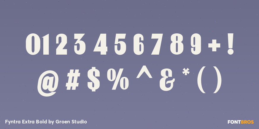 Fyntra Extra Bold Font Poster #4