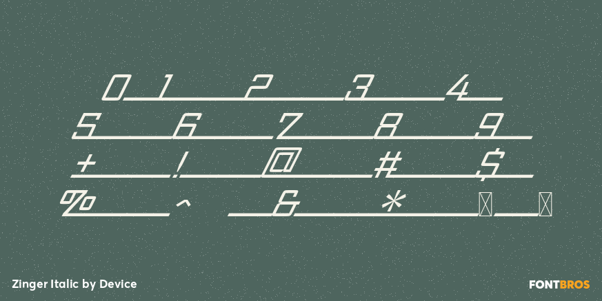 Zinger Italic Font Poster #4