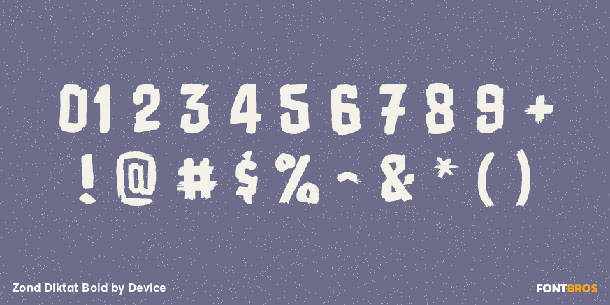 Zond Diktat Bold Font Poster #4