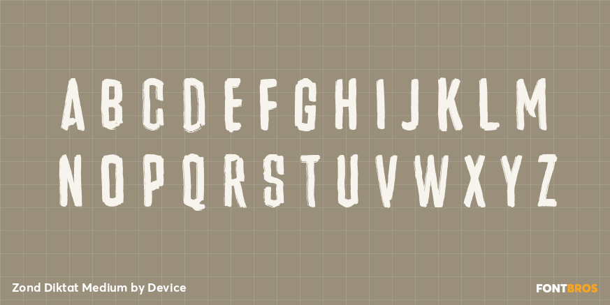 Zond Diktat Medium Font Poster #3