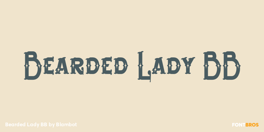 Bearded Lady BB Font Poster