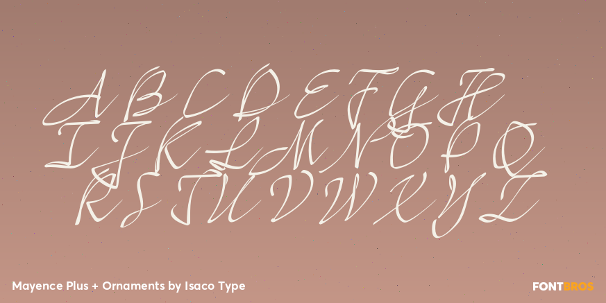 Mayence Plus + Ornaments Font Poster #2