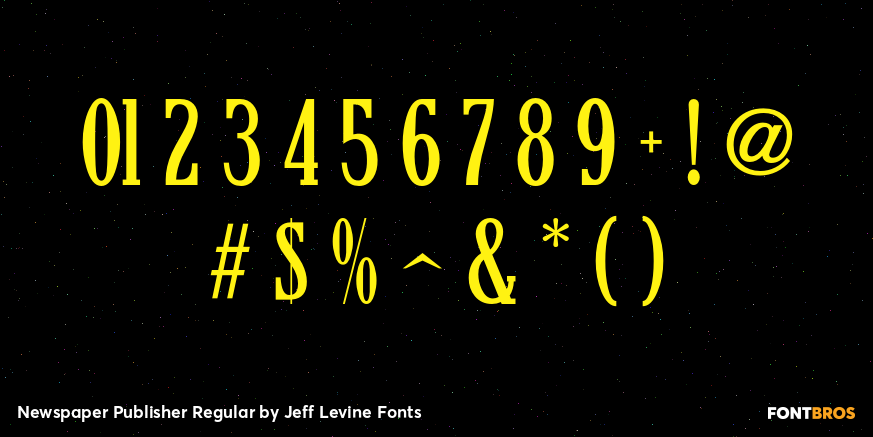 Newspaper Publisher Regular Font Poster #4