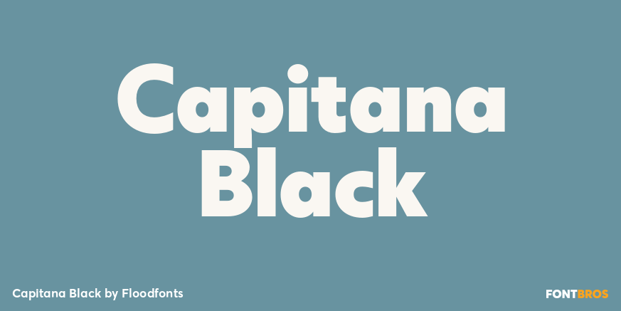 Capitana Black Poster