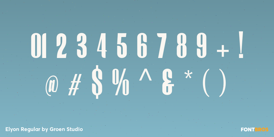 Elyon Regular Font Poster #4