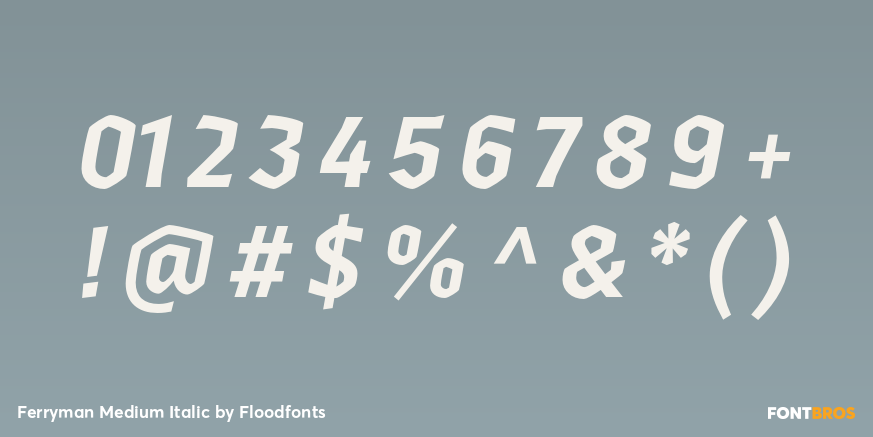 Ferryman Medium Italic Font Poster #1