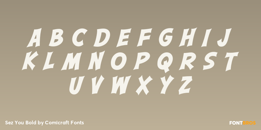 Sez You Bold Font Poster #3