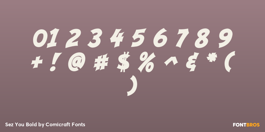 Sez You Bold Font Poster #4