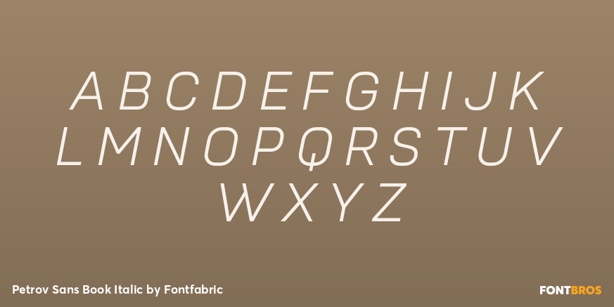 Petrov Sans Book Italic Font Poster #2