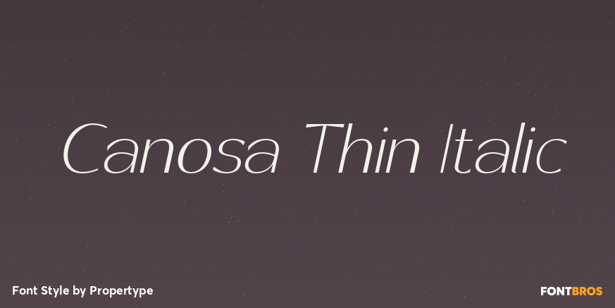 Canosa Thin Italic Poster