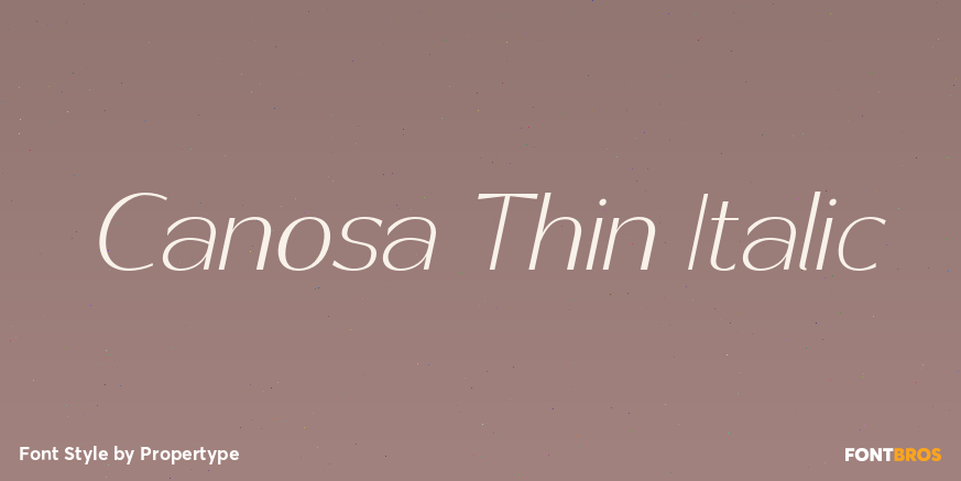 Canosa Thin Italic Poster