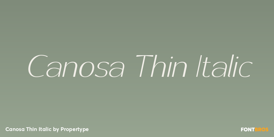 Canosa Thin Italic Poster