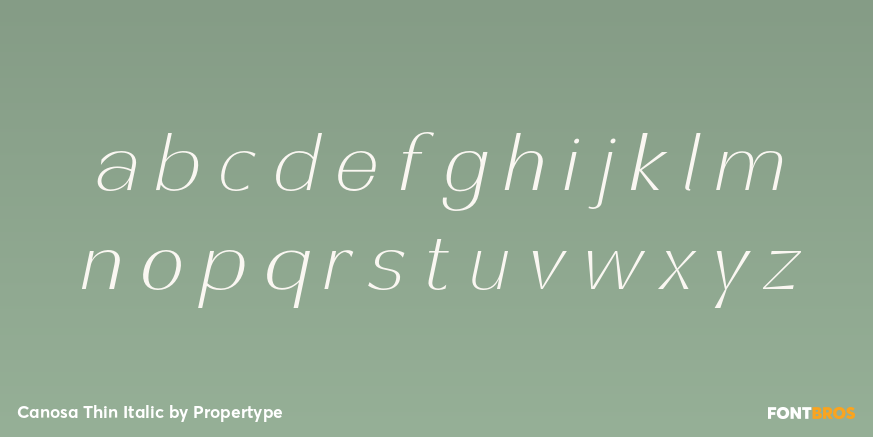 Canosa Thin Italic Font Poster #3