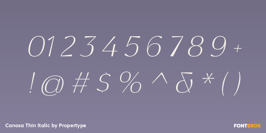 Canosa Thin Italic Font Poster #4