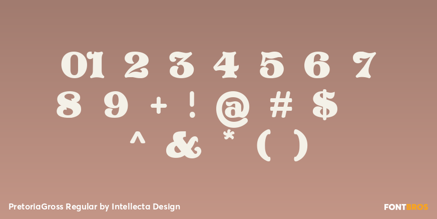 PretoriaGross Regular Font Poster #1