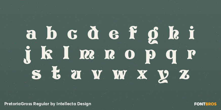 PretoriaGross Regular Font Poster #3