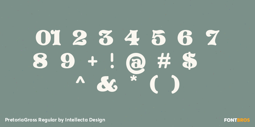 PretoriaGross Regular Font Poster #4