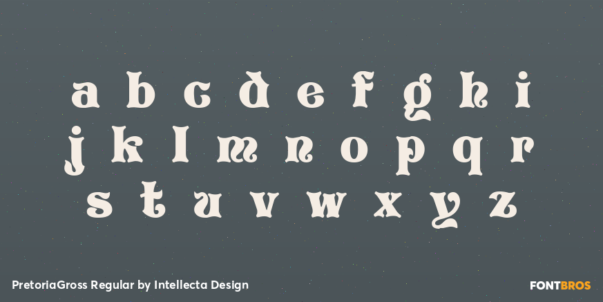 PretoriaGross Regular Font Poster #1
