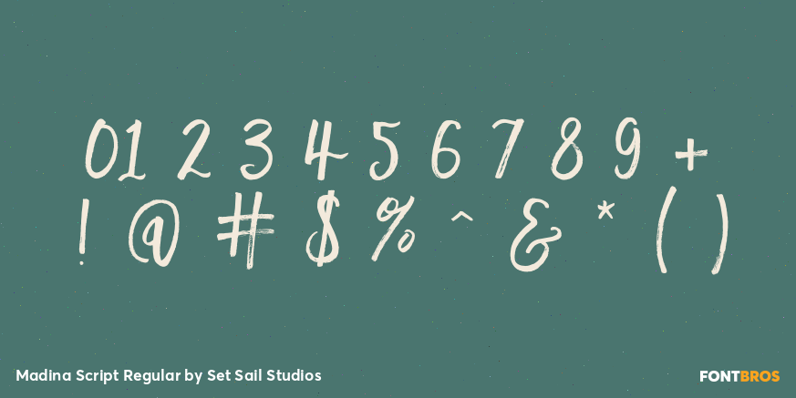 Madina Script Regular Font Poster #4