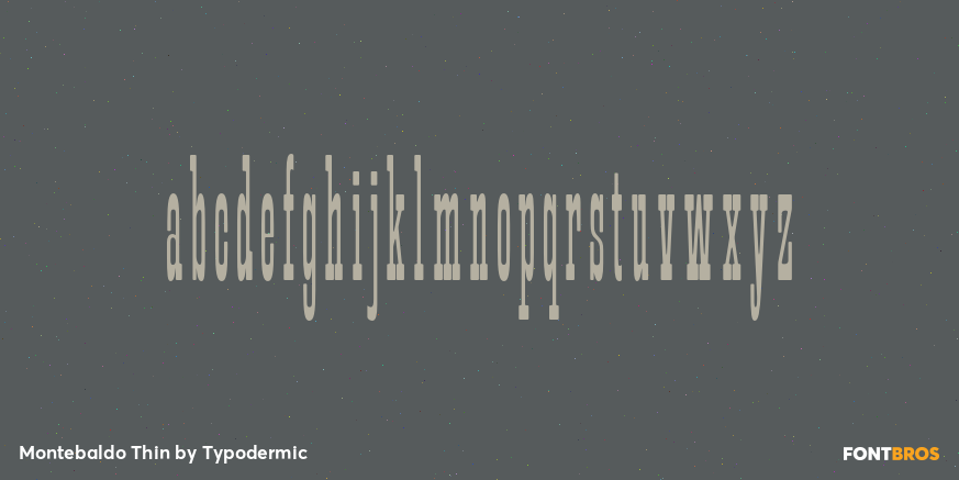 Montebaldo Thin Font Poster #3