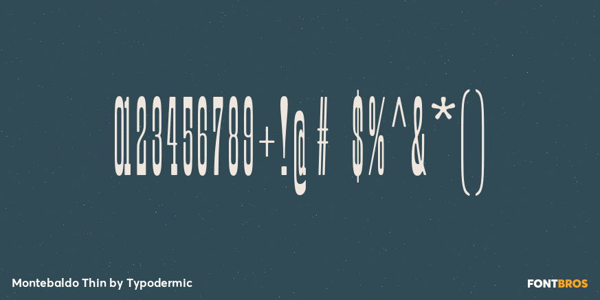Montebaldo Thin Font Poster #4