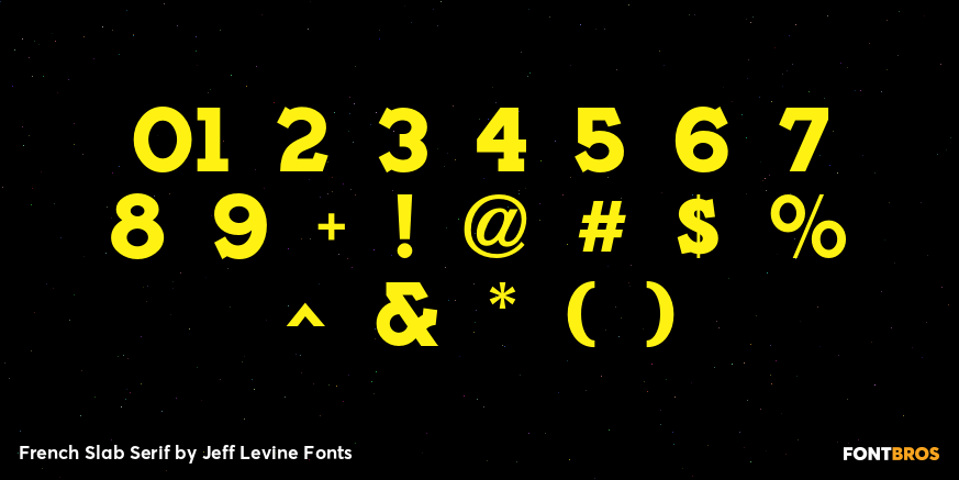French Slab Serif Font Poster #4