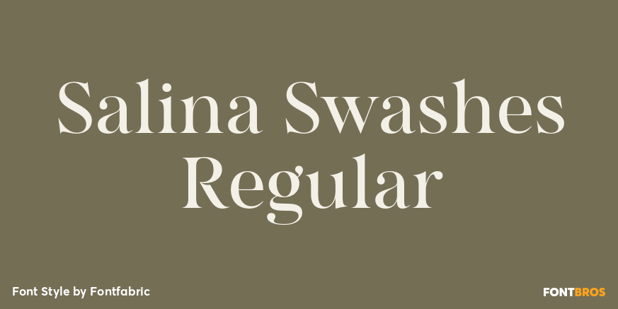 Salina Swashes Regular Poster