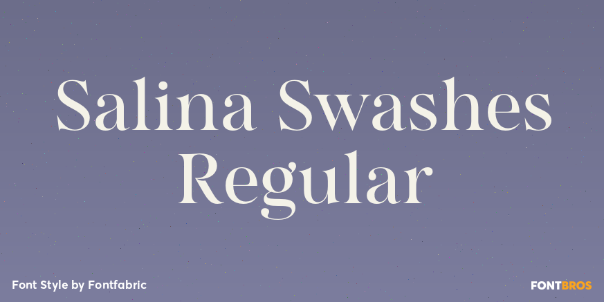 Salina Swashes Regular Poster