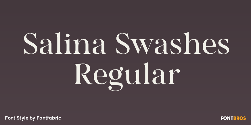 Salina Swashes Regular Poster