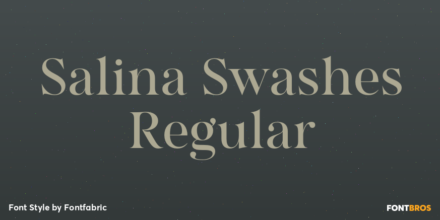 Salina Swashes Regular Poster
