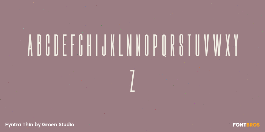 Fyntra Thin Font Poster #2